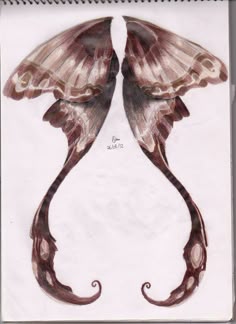 a drawing of two butterflies on white paper