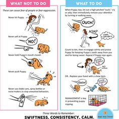 two posters showing how to do different things with dogs and cats in the same area