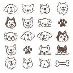 set of dog heads with different breeds and colors