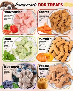 an image of dog treats for dogs