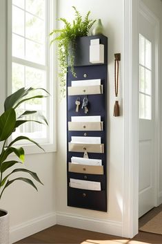 a wall mounted shelf with several drawers and key holders on it, next to a potted plant
