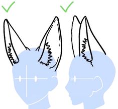 an image of two heads with ears pointing at each other