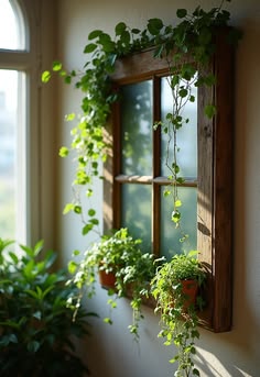 some plants are growing on the side of a window