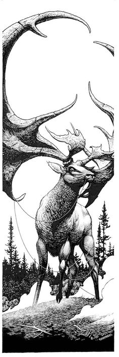 an ink drawing of a deer with antlers on it's back