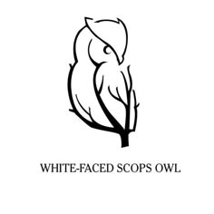 the white faced scops owl logo is shown in black and white, with an outline of