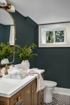 a white toilet sitting next to a bathroom sink under a mirror and a green plant