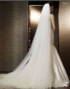 a woman in a wedding dress standing next to an open door wearing a long veil
