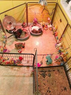 a caged area with stuffed animals and toys in the corner, on top of a tiled floor