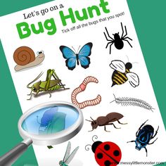 a magnifying glass with bugs and insects on it, next to a book