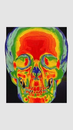 a painting of a human skull with multiple colored areas