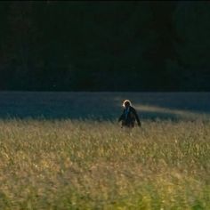 a person walking through tall grass in the evening