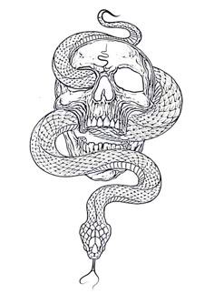 a black and white drawing of a skull with a snake on it's head