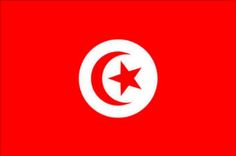 the flag of tunis is shown in red and white with a star at the center