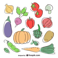 various vegetables are grouped together on a white background