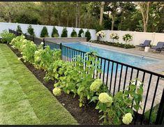 a long row of plants next to a swimming pool