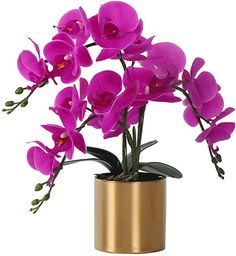purple flowers are in a gold vase on a white background
