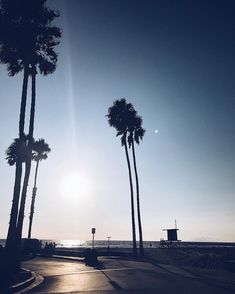 the sun is shining behind two palm trees