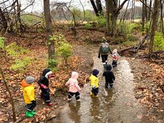 Nature Bingo Games for Kids 2