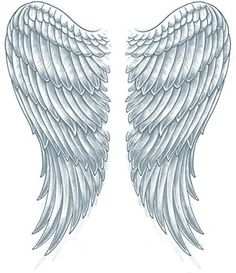 two white angel wings on a white background