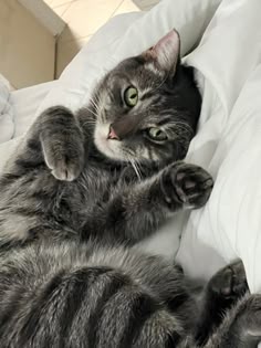 a gray cat laying on its back on top of a white bed sheet and pillows