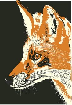 an orange and white fox on a black background