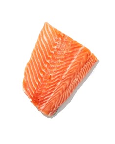 raw salmon fillet on white background