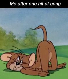a cartoon dog laying on its back in the grass with caption that reads, me after hit of bong