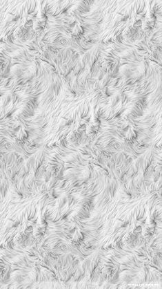 the texture of white fur is shown in this image