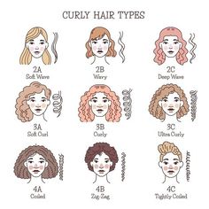 Curly hair types are categorized into four main groups: 
type 1 (straight), 
type 2 (wavy), 
type 3 (curly), and 
type 4 (coily). 
Each group has subgroups that are further defined by the diameter (texture) of the curl and porosity.

What is your type? Wavy Curly Hair Chart, Curly Hair Types Drawing, Curly Hair Pattern Chart, Curly Hair Types Charts, Curly Pattern Chart, Curly Hair Template, Curl Type Diagram, Hair Routine For 3a Hair, 3a Hair Examples