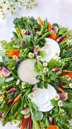 carrots, celery, radishes and other vegetables arranged in a circle