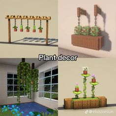 four different images of plants in various stages of growth, with the text plant decor above them