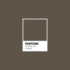 pantone's color swat list for the year 2009 to 2012, featuring brown and white