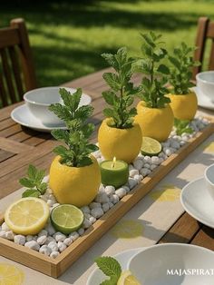 there are lemons and limes in the planters on this long wooden tray