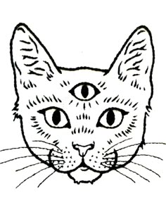 a black and white drawing of a cat's face