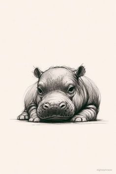 a drawing of a hippo laying on the ground