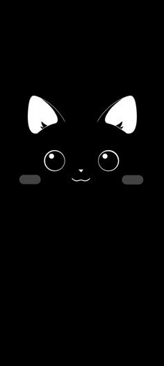 a black and white cat with big eyes on it's face in the dark