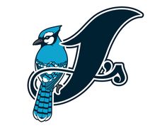 a blue bird sitting on top of a branch with the letter q in it's beak