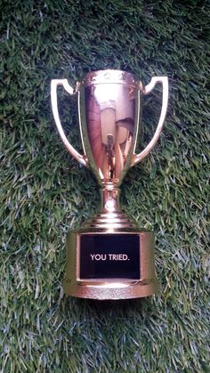 a gold trophy sitting on top of a lush green grass covered field with the words you tried