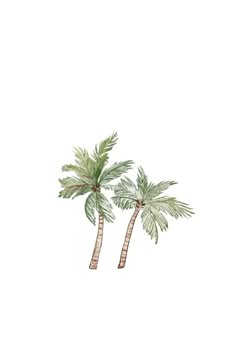 two palm trees on a white background