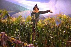 a scarecrow standing in the middle of a corn field