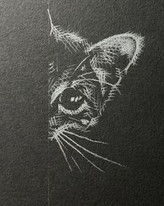 a drawing of a cat's face on a black paper with white chalk paint
