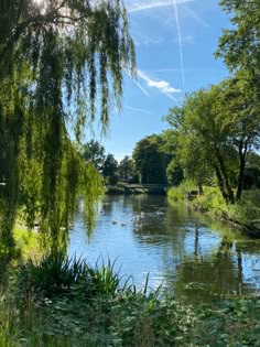 the water is calm and peaceful on a sunny day with trees in the foreground