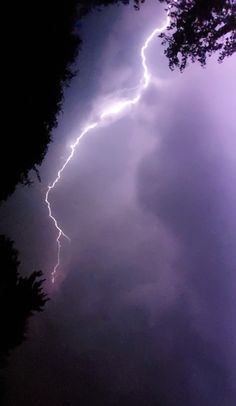 a lightning bolt is seen in the sky above some trees