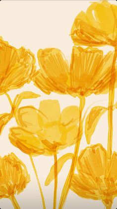 some yellow flowers on a white background