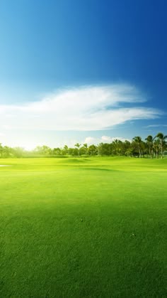 a green golf field with trees in the background and blue sky above it on a sunny day