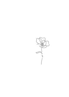 a single line drawing of a flower on a white background