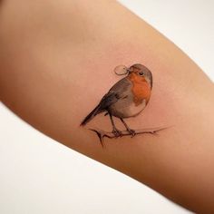 a small bird sitting on top of a woman's arm with an orange breast