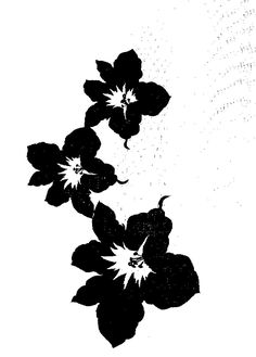 black and white photograph of flowers against a white background
