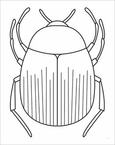 a beetle that is black and white with lines on the front, it's head facing