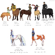four horses are shown in different colors and sizes, all with their names on them